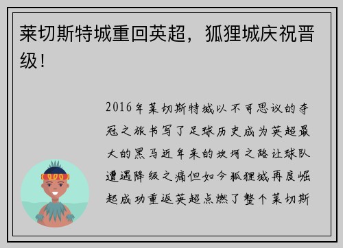 莱切斯特城重回英超，狐狸城庆祝晋级！