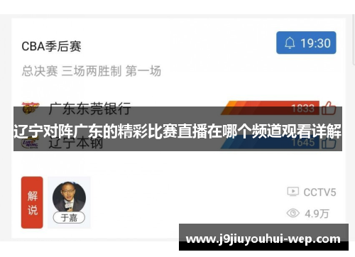 辽宁对阵广东的精彩比赛直播在哪个频道观看详解